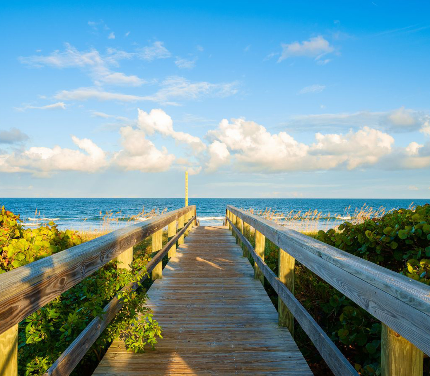 Carrollwood Boardwalk