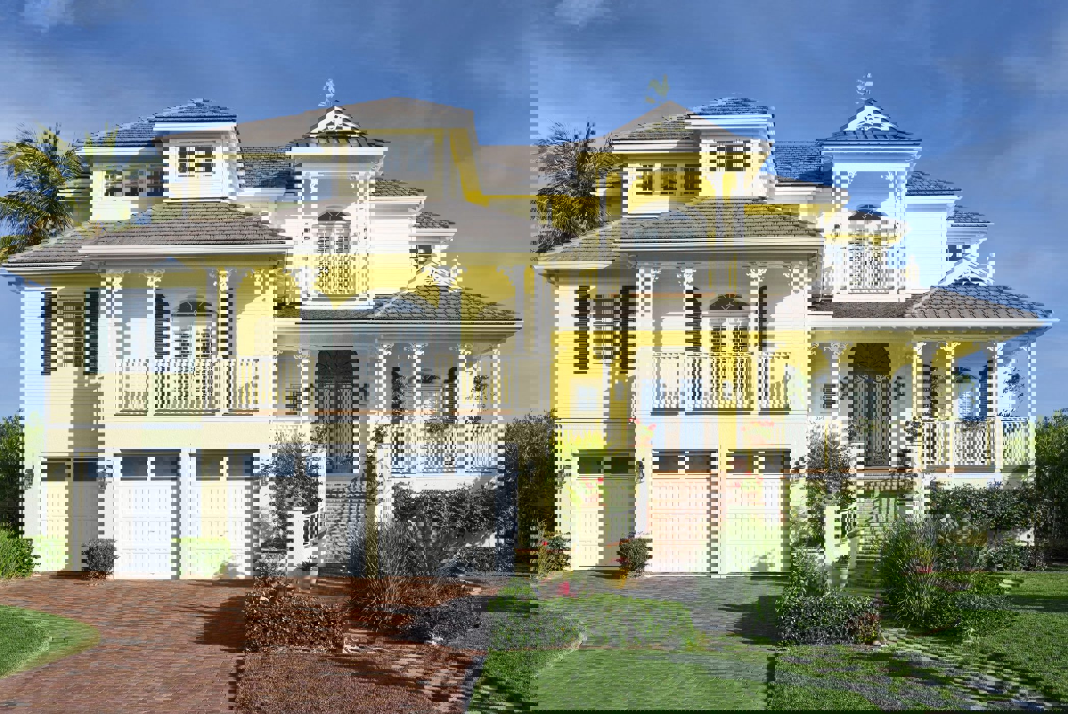 BD2NU White Longplain Florida Scaled