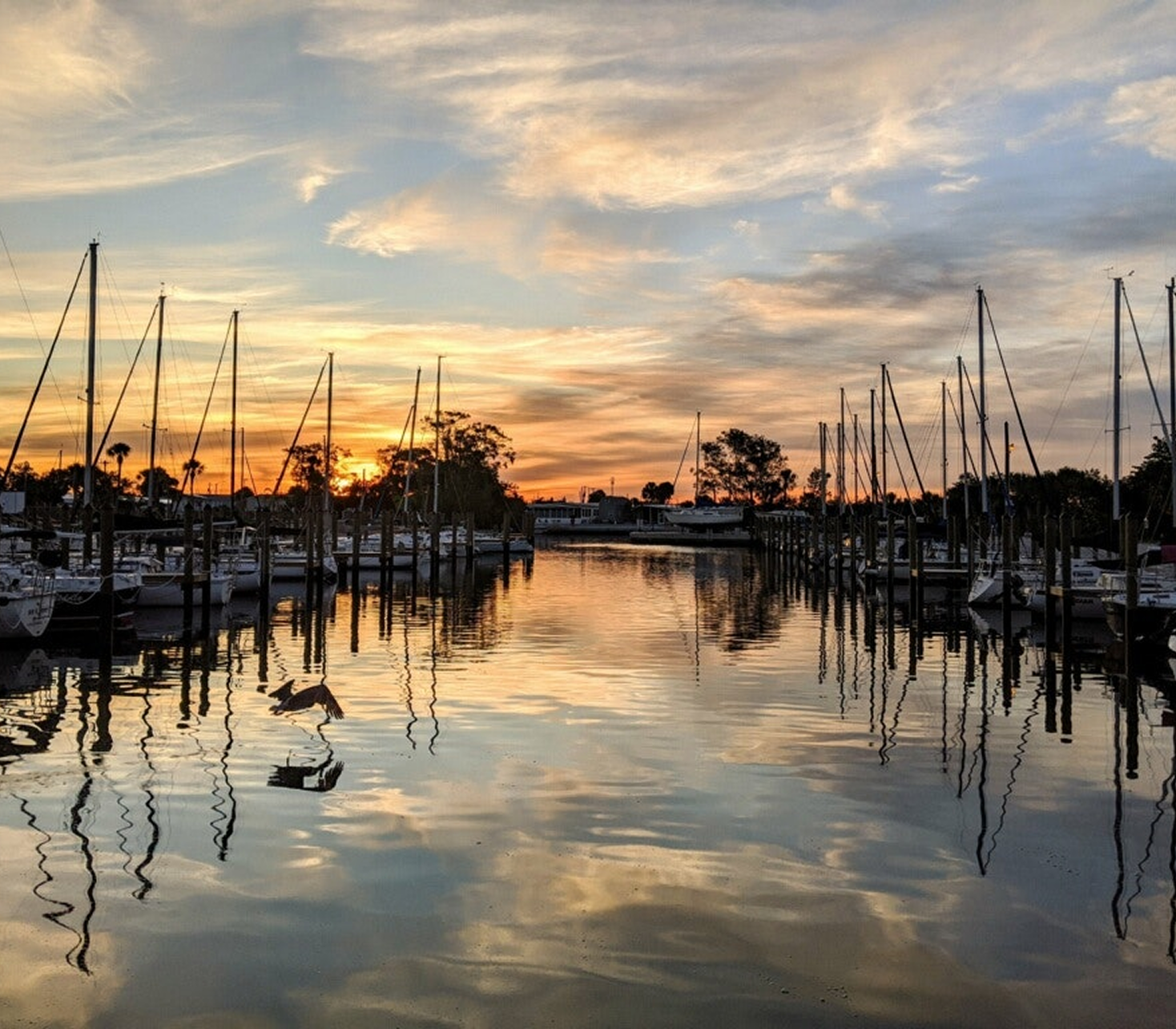 Bayshore Gardens (1)