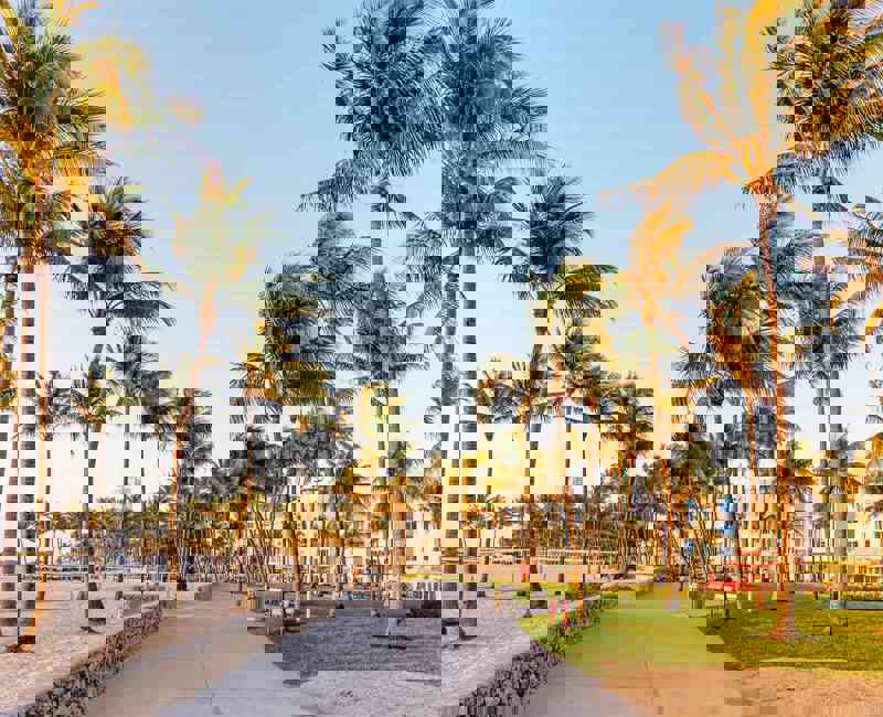 Lummus Park In The Morning South Beach Miami Usa 1283558621 F47acfd2e72b4118a4e2d32f438f9f88