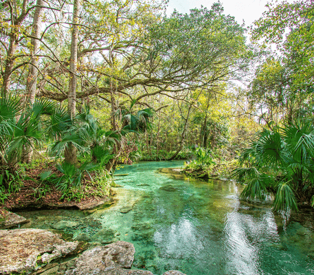 Clear blue-green water flows through a lush forest with dense trees and greenery on both sides under a partly cloudy sky.