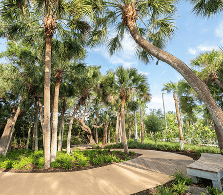 Curving pathways and a wooden boardwalk wind through a landscaped garden with tall palm trees and green foliage under a blue sky.