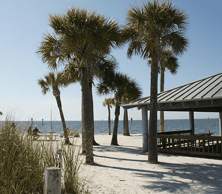 Palm trees and a covered picnic shelter stand on a sandy beach near the ocean under a clear blue sky.