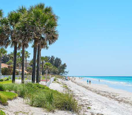 Palm trees line a sandy beach with people walking along the shoreline under a clear blue sky.