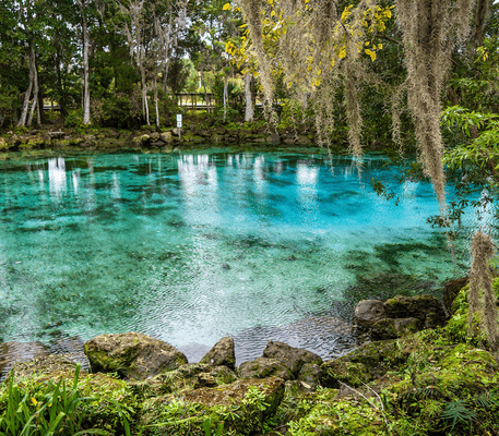 Clear blue natural spring surrounded by rocks, green foliage, and trees hanging with Spanish moss under a cloudy sky.