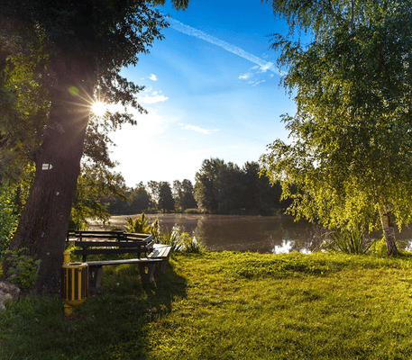 Wooden benches and a trash bin sit under trees by a calm lake with sunlight streaming through the branches and a clear blue sky above.