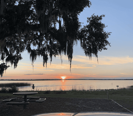 Sunset over a calm lake with a picnic table in the foreground and a large tree draped with Spanish moss silhouetted against the sky.