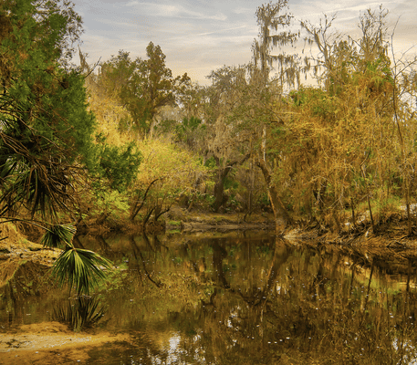 A calm river winds through a forest with dense green trees and hanging moss, reflecting the surrounding foliage under a partly cloudy sky.