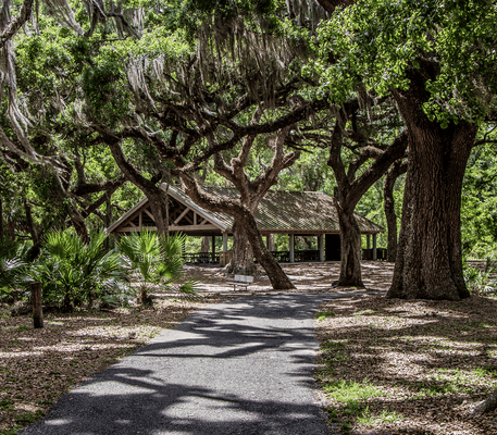 A paved path leads through large oak trees draped in Spanish moss to a wooden pavilion in a shaded park area.