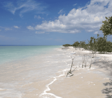 Sandy beach with gentle waves, clear turquoise water, scattered vegetation, and a partly cloudy sky.