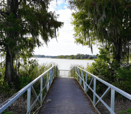A wooden walkway with white railings leads to a lake, surrounded by trees and greenery under a partly cloudy sky.