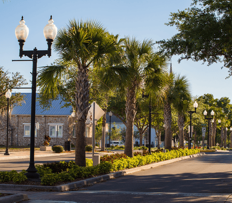 Palm trees line a sunny street with vintage-style street lamps and a stone building visible in the background.